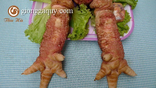 Những món tối kỵ tới thịt gà đông tảo