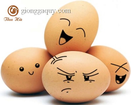 Cách kiểm tra độ tuổi của từng quả trứng gà
