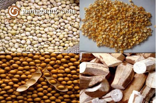 Nhập khẩu thức ăn chăn nuôi 2 tháng đầu năm 2016 giảm 22,16%