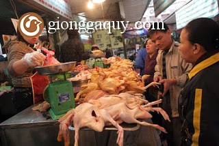 Công bố xếp hạng 10 địa phương quản lý tốt an toàn vệ sinh thực phẩm