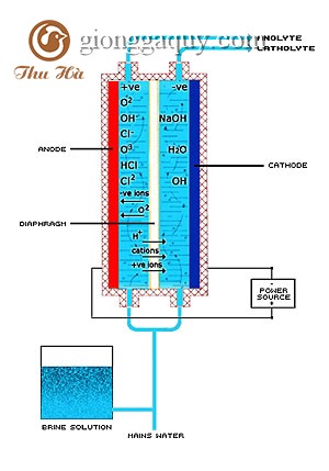 ECA – công nghệ sạch trong chăn nuôi