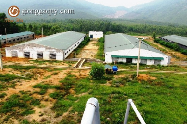 Các mô hình trang trại thành công bạn nên tham khảo