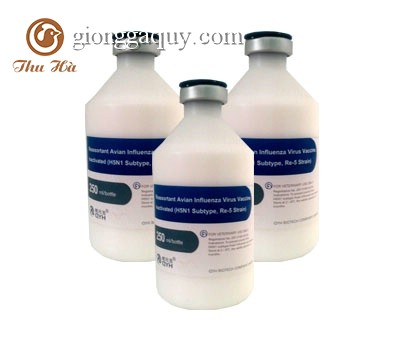 Quy trình phòng bệnh bằng thuốc và vaccin cho ngan, vịt ( theo ngày tuổi)